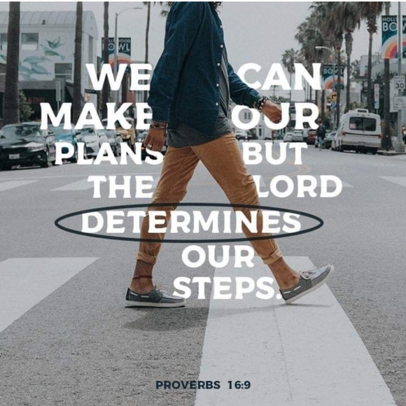 PREPPING FOR FALL! - Picture 2 of 2